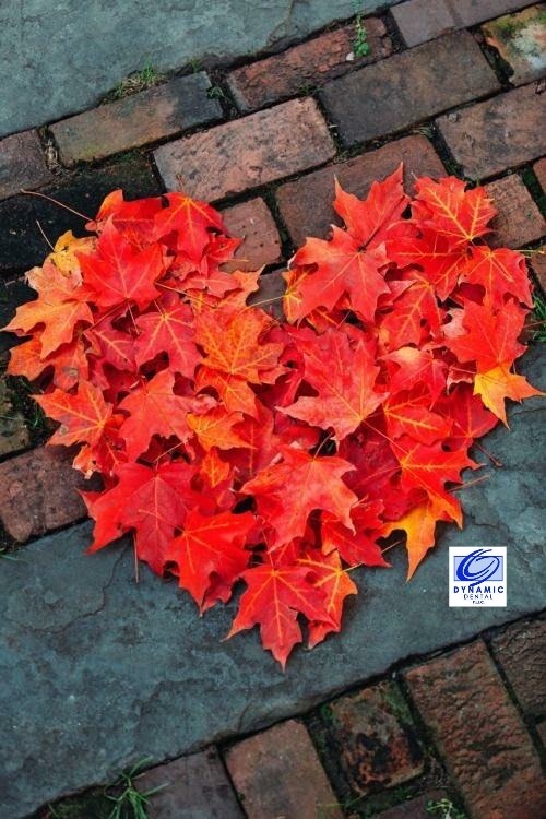 Heart made of orange oak leaves