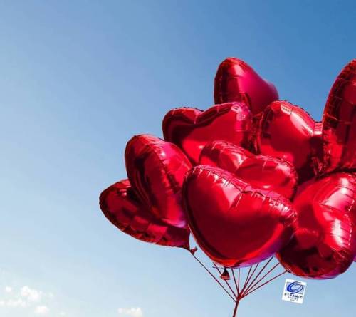 bunch of heart shaped mylar balloons