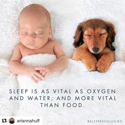 sleep importance with baby and puppy