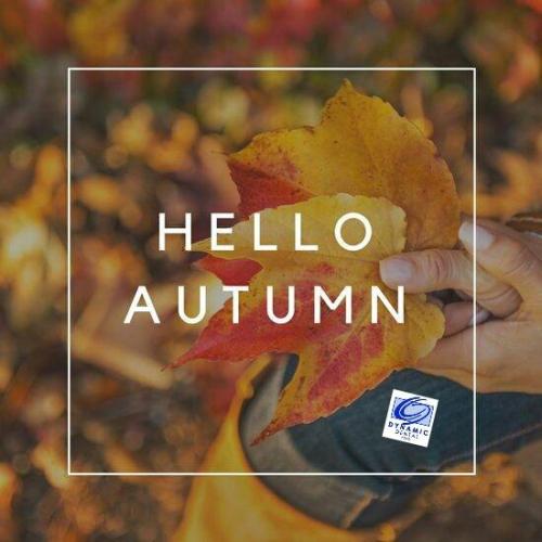 hello autumn branded graphic